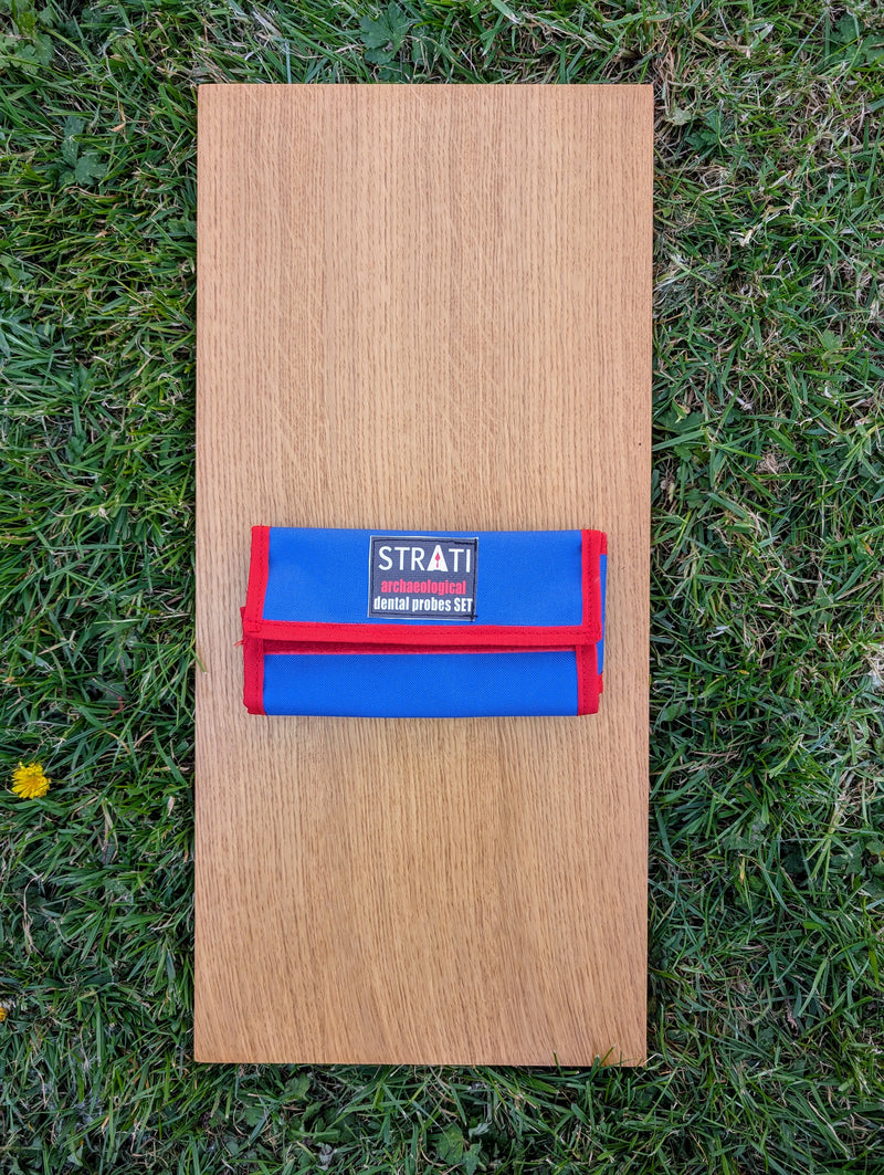 Load image into Gallery viewer, Closed blue and red STRATI dental probes case on light oak board over green grass