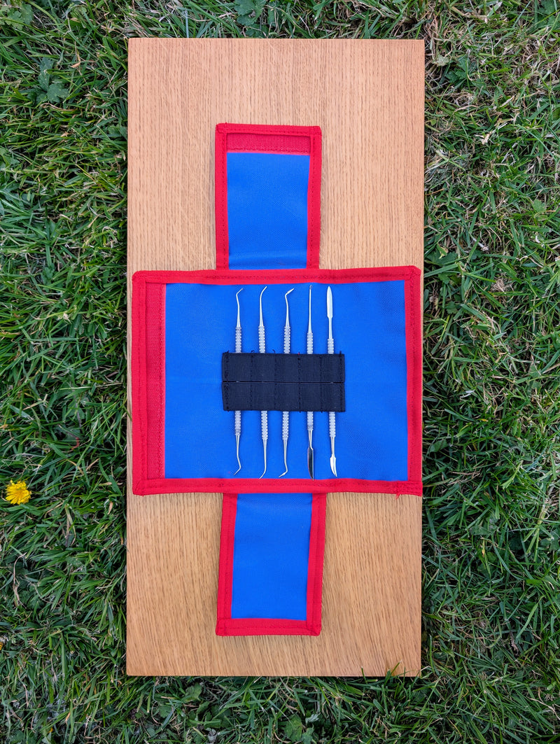 Load image into Gallery viewer, Open blue and red STRATI case holding five stainless steel dental probes on wood over grass