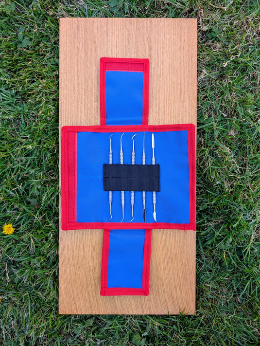 Open blue and red STRATI case holding five stainless steel dental probes on wood over grass